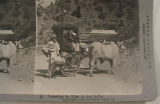 Ekka Cart India Stereo Travel Stereoview Photo  picture