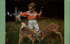 Rumford Point Maine ~ boy feeding fawns ~ cowboy shirt ~ postcard sku971 picture