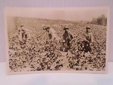 COTTON FIELD WORKERS c1920 BLACK AMERICANA RPPC REAL PHOTO POSTCARD FREE S&H H06 picture
