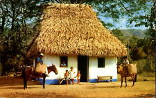 Typical hut in mountain village ~ Panama interior ~ donkey children thatch roof picture