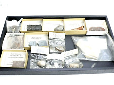Lot of Fossil Specimens from Geology Professor's Estate Collection (B) picture