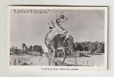 Vtg Rppc Postcard Tildenmere Camp North Bay Canada Humor Advert Giant Reindeer picture