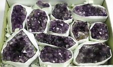 12 Pc Lot Flat Amethyst Crystal Geode Cluster - 3 lbs 11 oz -  Bulk  - AMY280 picture