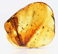 Very nice unusual Botanical Leaf, Fossil Inclusion in Burmese Amber picture