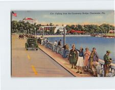 Postcard Fishing from the Causeway Bridge Clearwater Florida USA picture