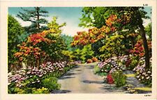 VTG Postcard- 12751. FLORAL PATH. UnPost 1910 picture