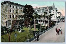St Augustine Florida Postcard Hotel Magnolia Aerial View 1910 Raphael Tuck & Son picture