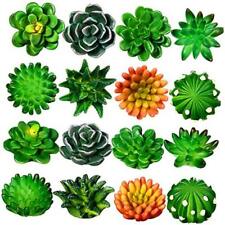 16 Pieces Cactus Succulent Refrigerator Magnets Plant Fridge Magnets Funny 3D  picture