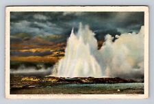 Yellowstone National Park, Fountain Geyser, Series #10091, Vintage Postcard picture