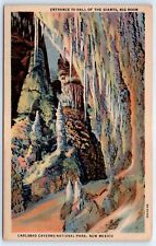 Postcard NM 1955 Carlsbad Caverns Entrance To Hall of Giants F6 picture