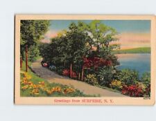 Postcard Road Nature Scene Greetings from Surprise New York USA picture