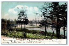 1906 Middlesex Fells Road Scene Showing Spot Pond Massachusetts MA Postcard picture