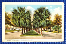 Vintage c1920s View of Victory Row to Tybees Savannah GA Postcard picture