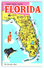 Postcard Greetings from Florida The Sunshine State Vertical Illustrated Map picture