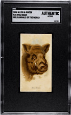 1888 N25 Allen & Ginter Wild Boar Wild Animals of the World SGC Authentic picture