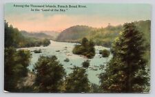Among The Thousand Islands French Broad River Colorado c1910 Antique Postcard picture