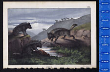 Striped hyaena (hyena) 1875 AFRICA, WILD ANIMALS LITHOGRAPH picture