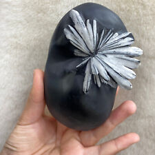 Top Natural chrysanthemum stone Quartz specimen Crystal healing decorate DECOR picture