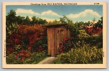 Vintage Postcard MI Big Rapids Greetings Outhouse Linen picture