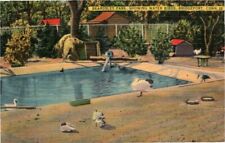 1940'S. WATER BIRDS AT THE ZOO. BEARDSLEY PARK. BRIDGEPORT, CONN. POSTCARD A/T picture