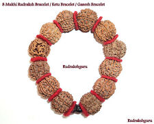 8 Mukhi Rudraksh Bracelet / Ganesh Bracelet - 12 bead - Nepal picture