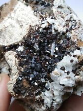 Melanite Garnet var of andradite with Shining luster top luster From Zagi Mount picture
