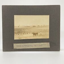 Cabinet Card Real Photo Potatoes & Melons By Mayor W.S. Pershing Limon CO 1908 picture