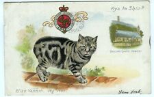 Manx Cat on Brick Wall Vintage Postcard picture