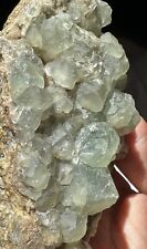 Fluorite, from Cuchillo Negro District, Sierra County, New Mexico picture
