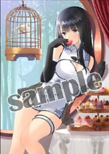 Tony T2 Art Works Illustration Limited A4 Clear File Ping-Yi Japan Anime Girl picture