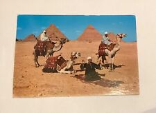 Egypt Cairo Pyramids Camel Riders Postcard picture