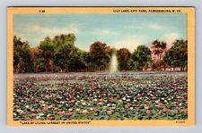 Parkersburg WV-West Virginia, Lily Lake, City Park, Antique, Vintage Postcard picture