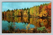 Hawks MI, Greetings, Colorful Scenic Autumn Lake View Chrome Michigan Postcard   picture