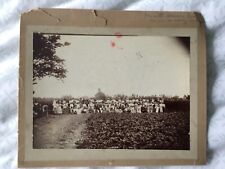 Strawberry pickers - Vintage Original Photograph - Edwardian era - 24cm x 21cm picture