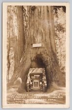 Willits California Old Car in Coolidge Redwood Tree VTG RPPC Real Photo Postcard picture