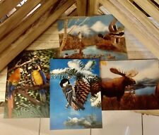 4 Vintage 3D Postcard Nature Birds Animals Collectors Cards picture