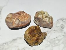 Michigan Great Lakes Lake Superior Agate Lot Of 3 Rough picture