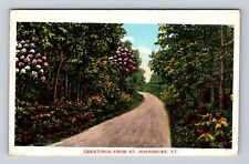 St Johnsbury VT-Vermont, General Greetings, Scenic Views Vintage c1936 Postcard picture