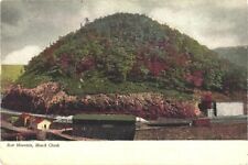 View of Houses Near Bear Mountain, Maunch Chunk Jim Thorpe Pennsylvania Postcard picture