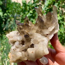 413g Natural Beautiful Black Quartz Crystal Cluster Mineral Specimen picture
