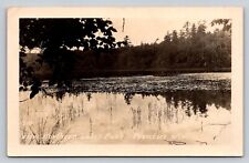 RPPC Star Lake Drummond Wisconsin Real Photo P764 picture