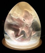3D Printed and Resin Velociraptor Egg Statue Dinosaur Sculpture With LED Light picture