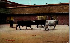 Postcard Bull Fighting Spain 1920s Arena Set of 12 VINTAGE RPPC DD1 picture