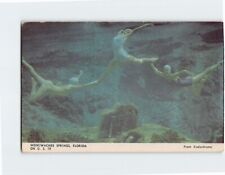 Postcard Weekiwachee Springs Florida on USA 19 North America picture