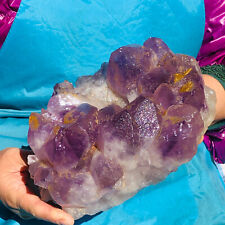 8.11LB Natural Amethyst Cluster Quartz Crystal Rare Mineral Specimen Heals 789 picture