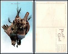 Vintage Postcard - Valley Quail Bird N46 picture