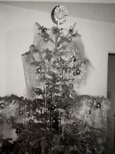 Photograph Christmas  Tree Decorated Black & White Snapshot picture