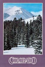Colorado-Rockies Majestic Winter Scene- Unposted Postcard M9 picture