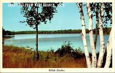 Greetings From West Branch Michigan MI Postcard PM Cancel WOB Note VTG 6c Stamp picture