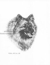 #313 KEESHOND portrait * dog  art print * Pen and ink drawing * Jan Jellins picture